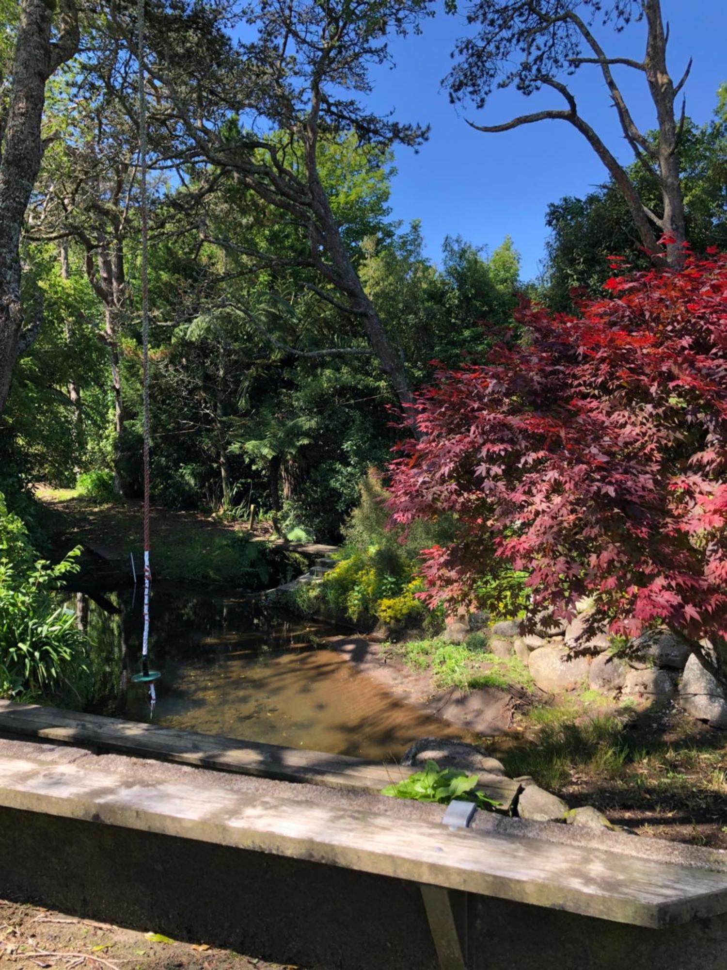 Tiny Home Luxury Farm Escape New Plymouth Egmont Village Zewnętrze zdjęcie